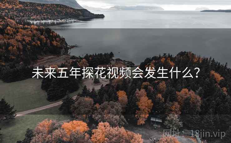 未来五年探花视频会发生什么？