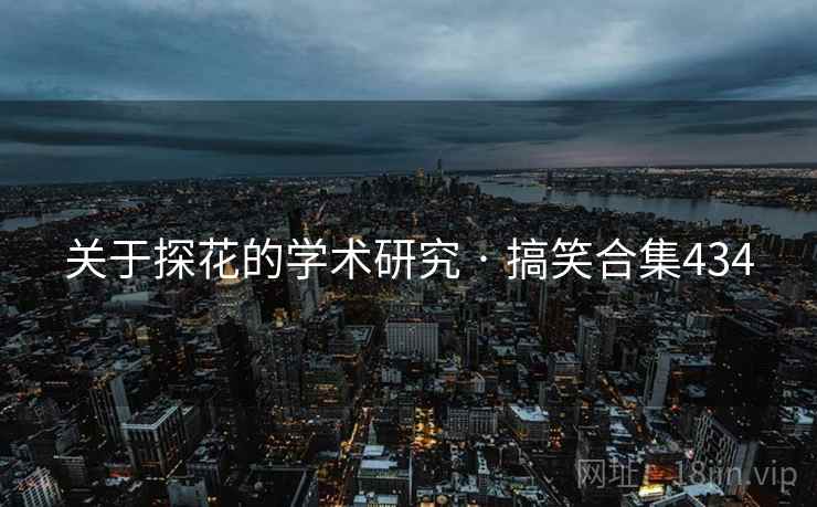 关于探花的学术研究 · 搞笑合集434