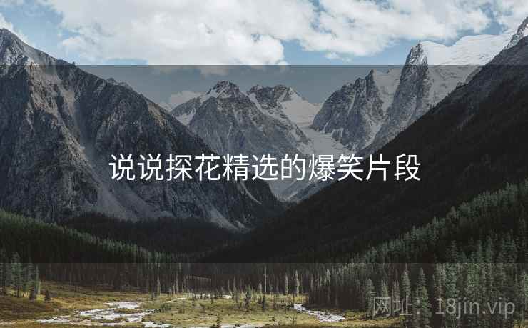 说说探花精选的爆笑片段