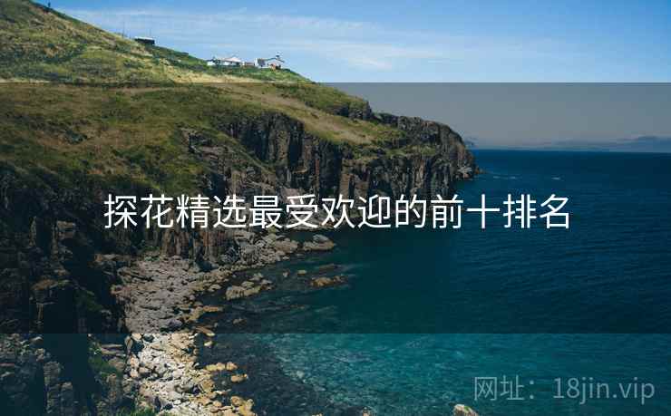 探花精选最受欢迎的前十排名