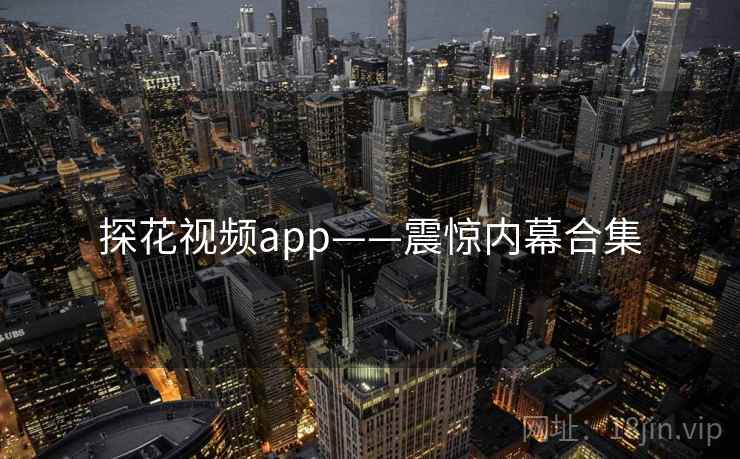 探花视频app——震惊内幕合集