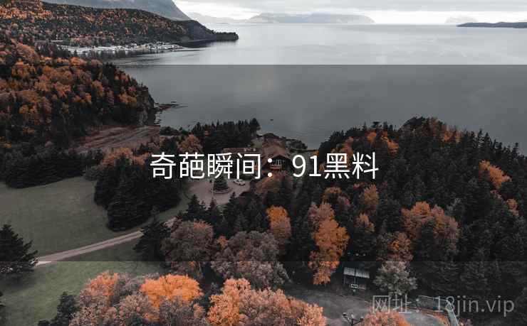 奇葩瞬间：91黑料