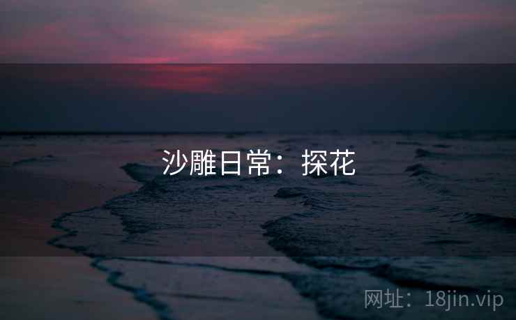 沙雕日常：探花