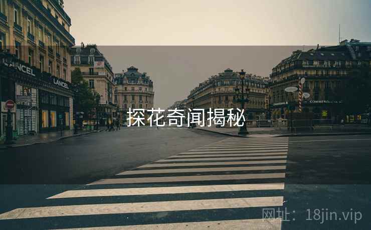 探花奇闻揭秘