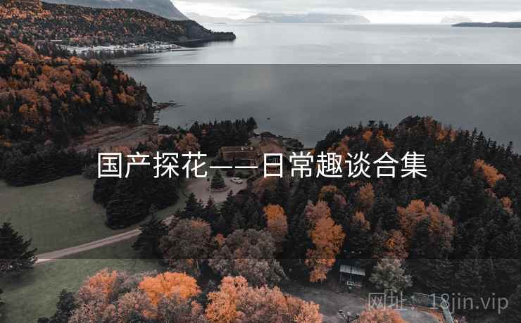 国产探花——日常趣谈合集