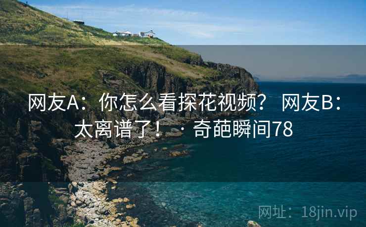 网友A：你怎么看探花视频？ 网友B：太离谱了！ · 奇葩瞬间78