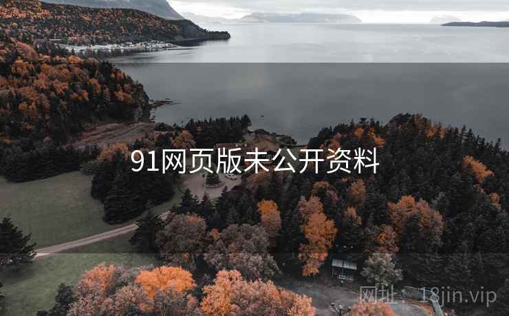 91网页版未公开资料