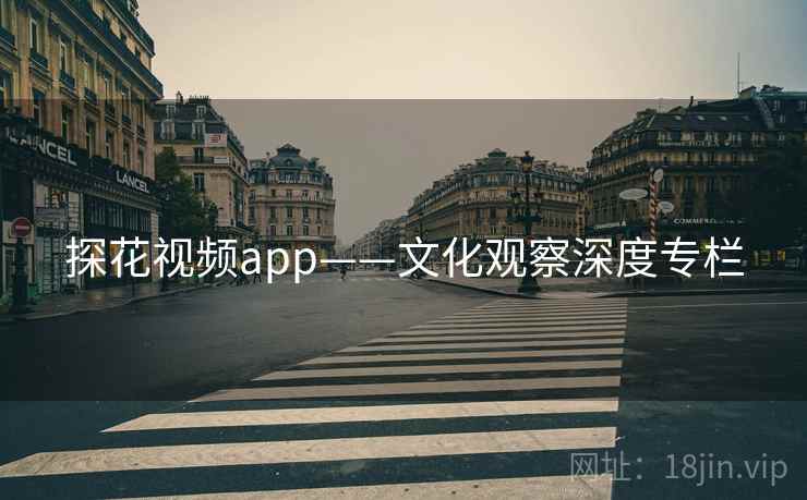 探花视频app——文化观察深度专栏