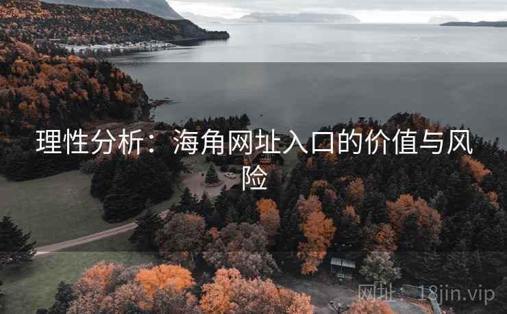理性分析：海角网址入口的价值与风险
