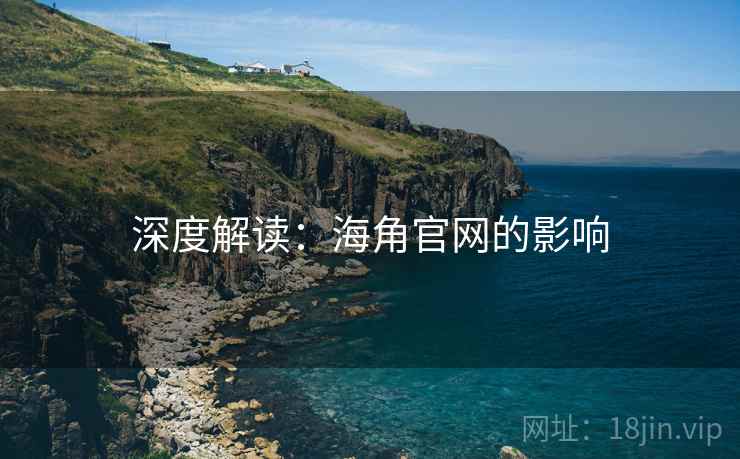 深度解读：海角官网的影响